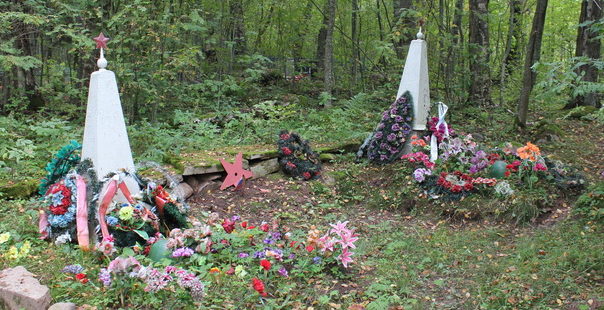 д. Загубье Волховского р-на. Братская могила советских воинов на кладбище.