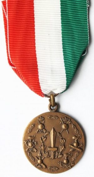 Аверс и реверс памятной медали Центрального военного училища. Медаль изготовлена из бронзы, диаметр – 28 мм.