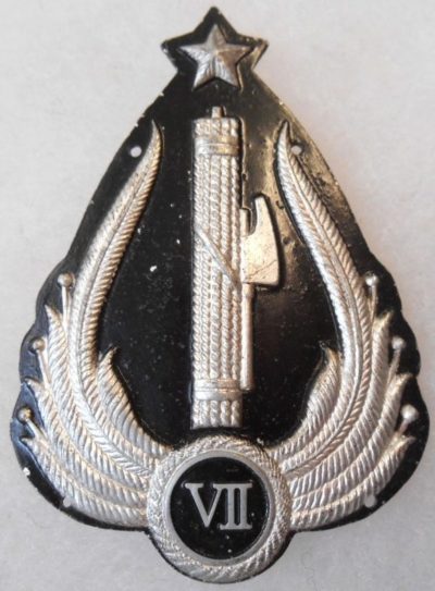 Аверс и реверс нарукавного щита 7-й когорты Берата Албанской фашистской милиции MVSN.