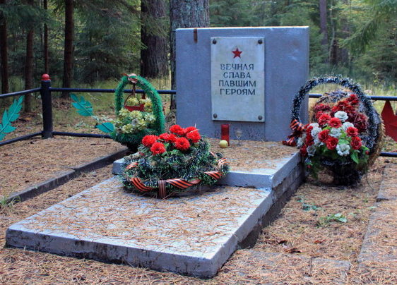 д. Венекюля Кингисеппского р-на. Памятник, установленный на братской могиле, в которой захоронено 2 советских воина.