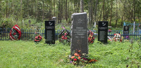 с. Паша Волховского р-на. Памятники на братских могилах, где похоронено 25 советских воинов.