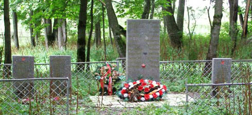 д. Кайболово Кингисеппского р-на. Памятник, установленный на братской могиле, в которой захоронено 50 советских воинов. 