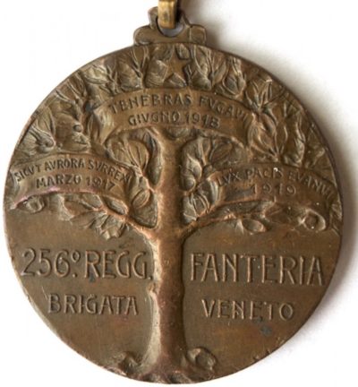 Аверс и реверс памятной бронзовой медали 256-го пехотного полка бригады «Veneto».