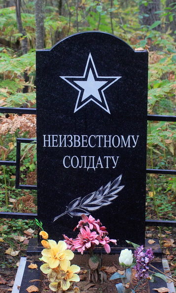 д. Ефремково Лодейнопольского р-на. Памятник неизвестному солдату на кладбище. 