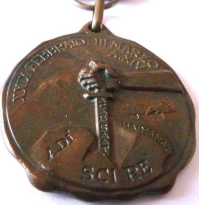 Аверс и реверс памятной бронзовой медали «За африканскую компанию» CCLXIII батальона.