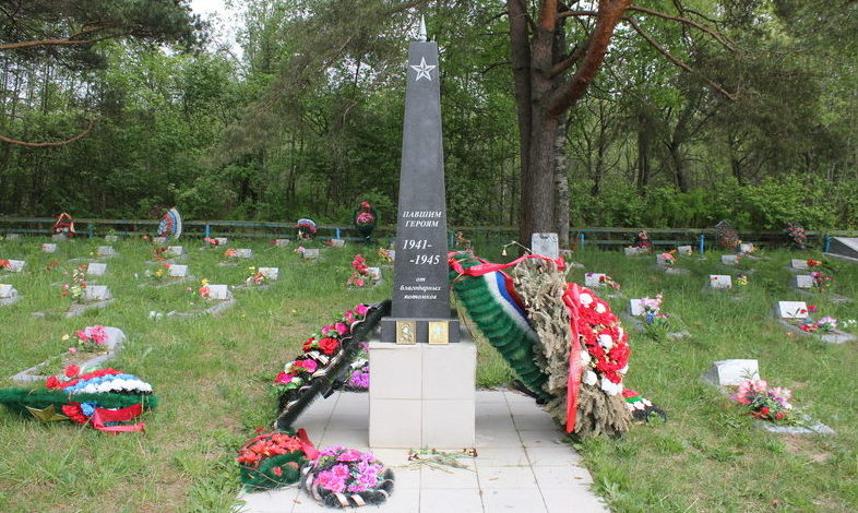 д. Пономарево Лодейнопольского р-на. Памятник, установленный на братской могиле, в которой захоронено 473 советских воина, в т.ч. 46 неизвестных. 