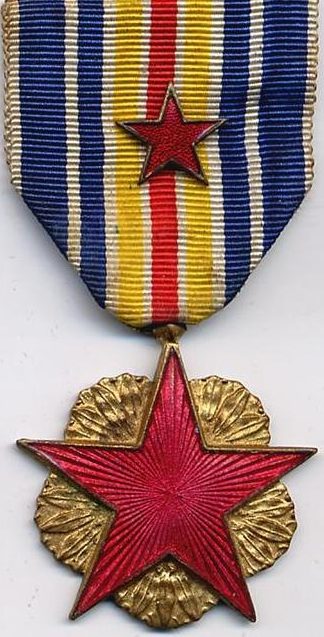 Официально утвержденные два варианта медали раненных на войне.