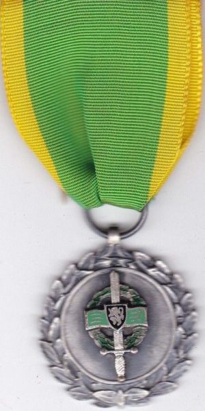Памятная медаль Королевской Федерацией военных за границей.