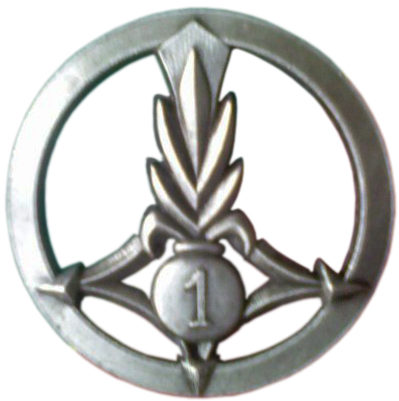 Знак 1-го гренадерского эскадрона. 