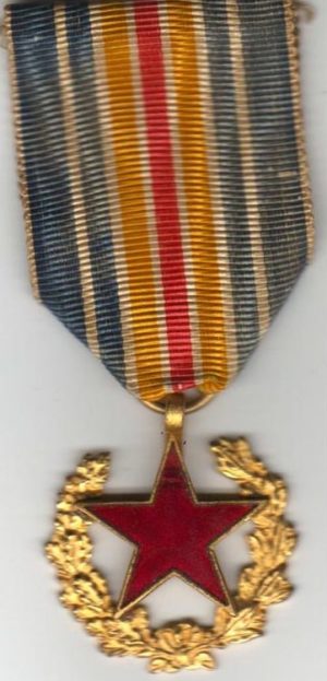 Неофициальные варианты медали для военнослужащих.