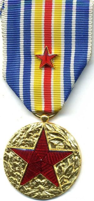 Неофициальные варианты медали для военнослужащих.