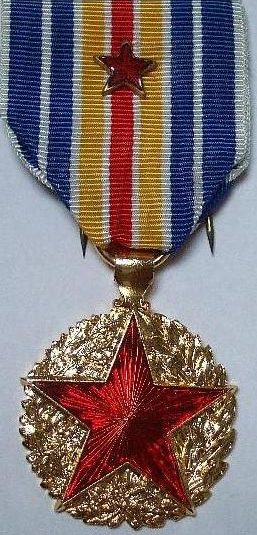 Официально утвержденные два варианта медали раненных на войне.