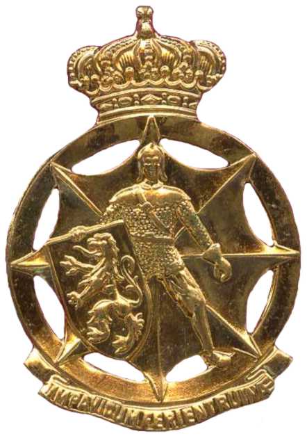 Знак службы гражданской обороны Королевских ВС Бельгии. 