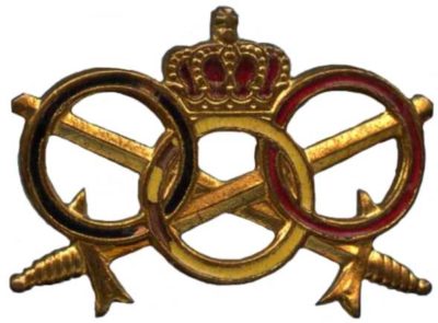 Знак службы физической подготовки для офицеров Королевских ВС Бельгии.