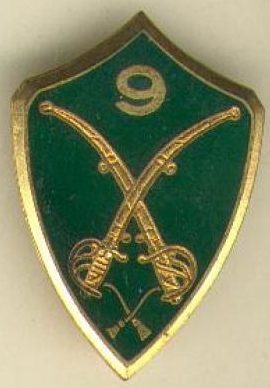 Знак 9-го егерского полка.