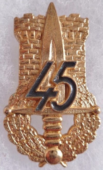 Аверс и реверс знака 45-го пехотного полка.
