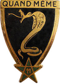 Знак 11-го Африканского егерского полка. 