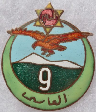 Знаки 9-го полка Алжирских стрелков.
