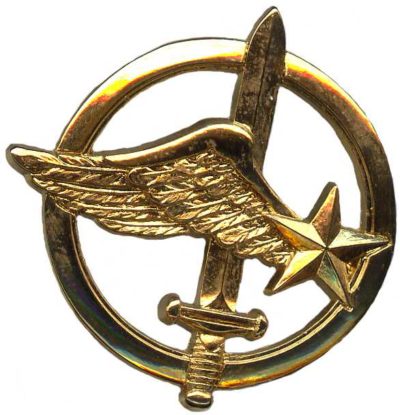 Знак коммандос армейской фронтовой авиации.