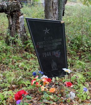 д. Родионово Подпорожского р-на. Памятник, установленный на братской могиле, в которой похоронено 10 советских воинов. 