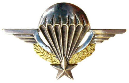 Знак военного парашютиста сухопутных войск.