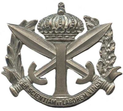 Знак Военной пехотной школы.