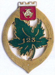 Знак 123-го пехотного полка.