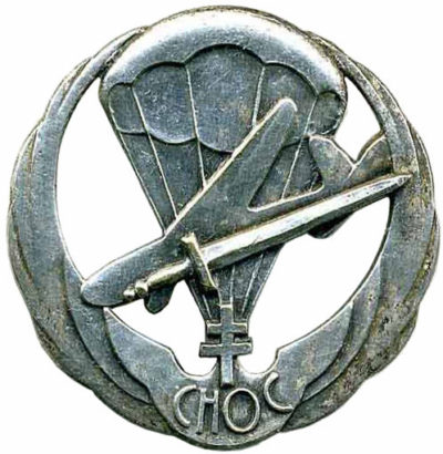 Знак 1-го воздушно-десантного полка.