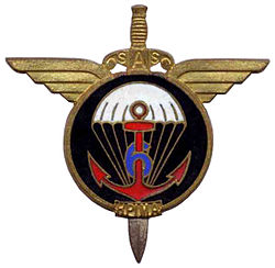 Знак 6-го полка парашютистов морской пехоты. 