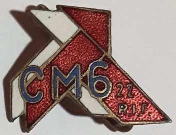 Знак 22-го стрелкового полка.