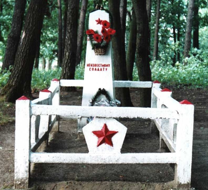 д. Горни Лидского р-на. Памятник, установленный на братской могиле, в которой похоронено 5 неизвестных советских воинов. 