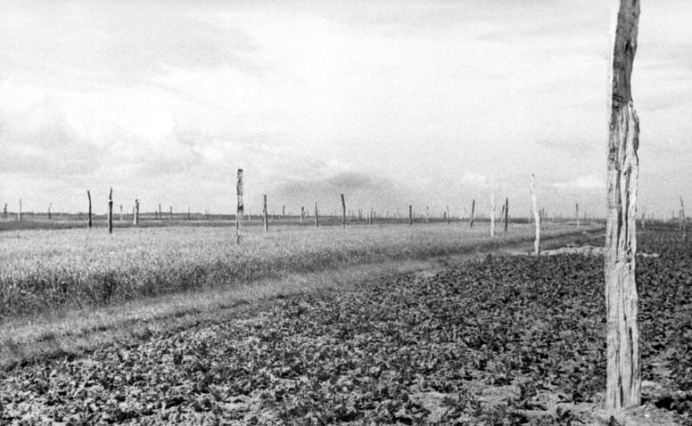 Противодесантная защита побережья «спаржей Роммеля». 1944 г.