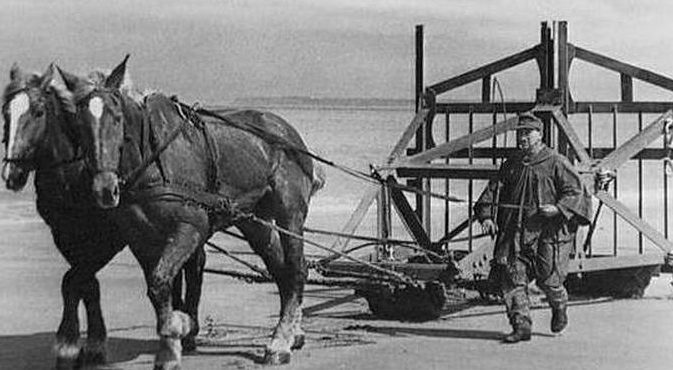 Установка «бельгийских ворот» на пляже. Норвегия. 1944 г.