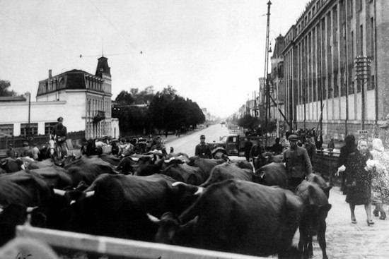 Немцы «эвакуируют» имущество рижан. Октябрь 1944 г. 