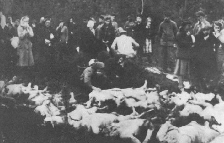 Раскопки могил расстрелянных нацистами латвийцев. Октябрь 1944 г. 
