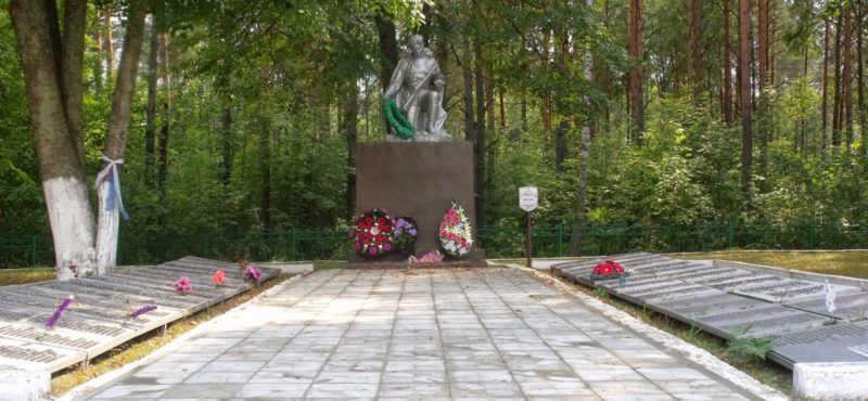 д. Великий Бор Светлогорского р-на. Братская могила, в которой похоронены солдаты и офицеры 28-й, 48-й, 65-й армий 1 Белорусского фронта.