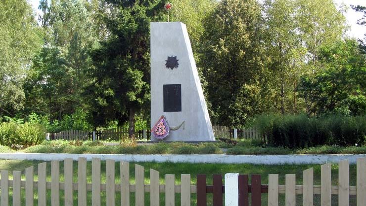 д. Павлово Слонимского р-на. Братская могила советских воинов. 