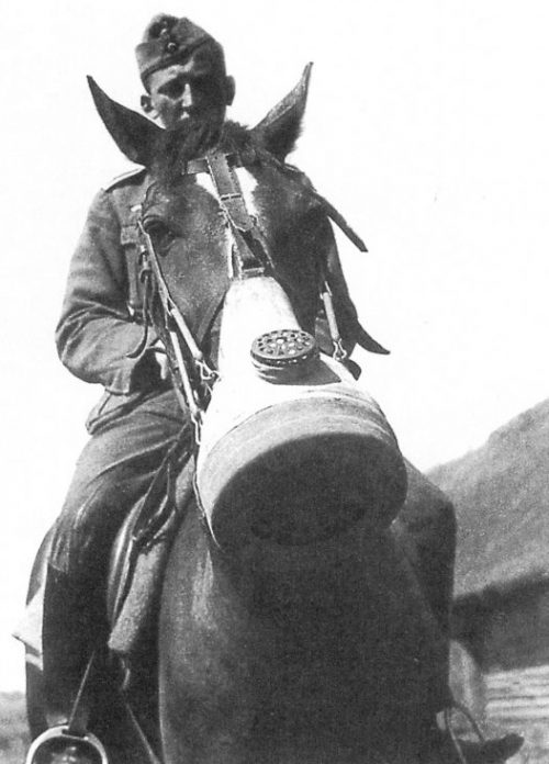 Немецкий кавалерист на лошади в противогазе. Восточный фронт. Июль 1941 г.