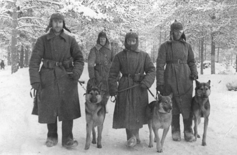 Советские военные собаководы отдельного батальона связи со связными собаками. Ноябрь 1939 г.