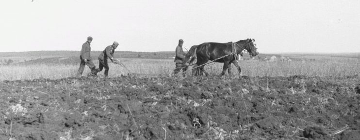 Немецкие солдаты пашут поле в Белгородской области. 1943 г.