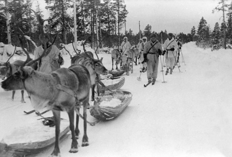 Финские лыжники. Январь 1940 г.