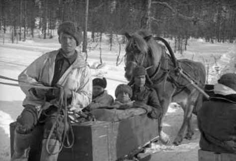 Перевозка финских раненных. Февраль 1940 г.