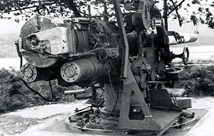 130-мм орудия 1915 года выпуска на открытых позициях во время войны.