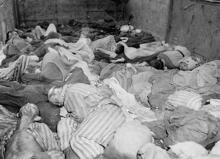 Тела узников Дахау, погибших во время эвакуации. 