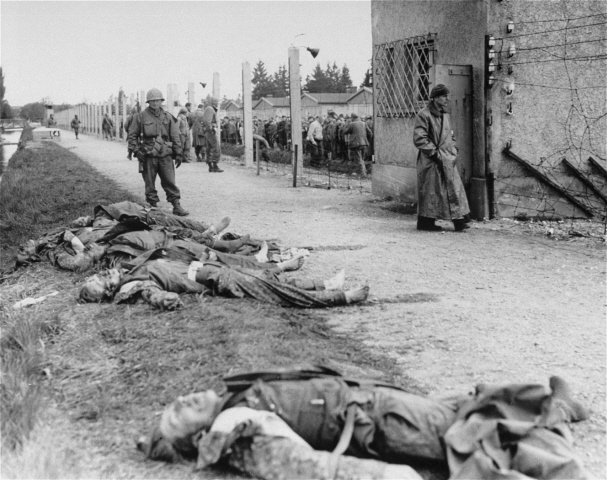 Расстрелянные немцы на территории лагеря. 