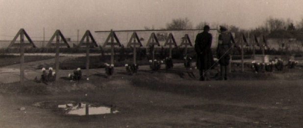 Немецкие могилы. Осень 1941 г. 