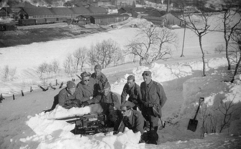 Шведские военные учения. 1943 г.