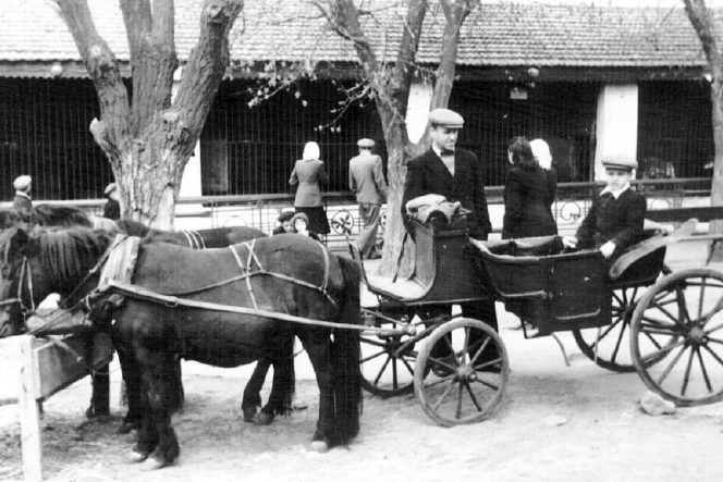 Зоопарк Николаева. Лето 1943 г. 