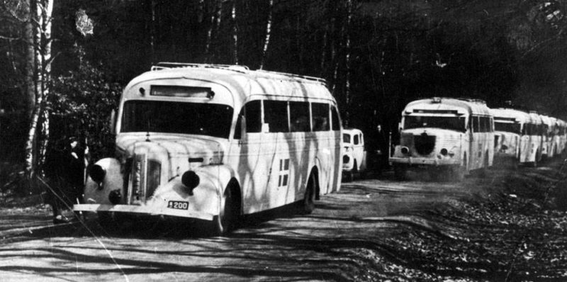 «Белые автобусы» шведского Красного Креста вывозят узников концлагеря. 1945 г.