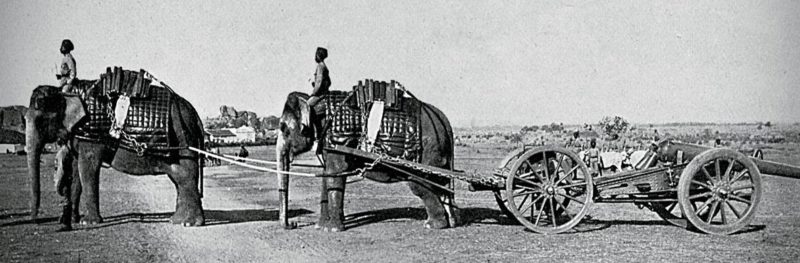 Караван слонов перевозит орудия Британской Индийской армии. 1900 г.